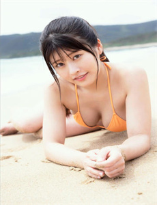 笨蛋