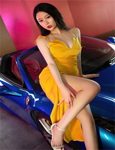 惹不起的公主殿下